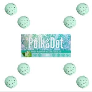 Polkadot Mint Mushroom Chocolate Bar